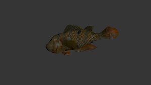 3D fish model