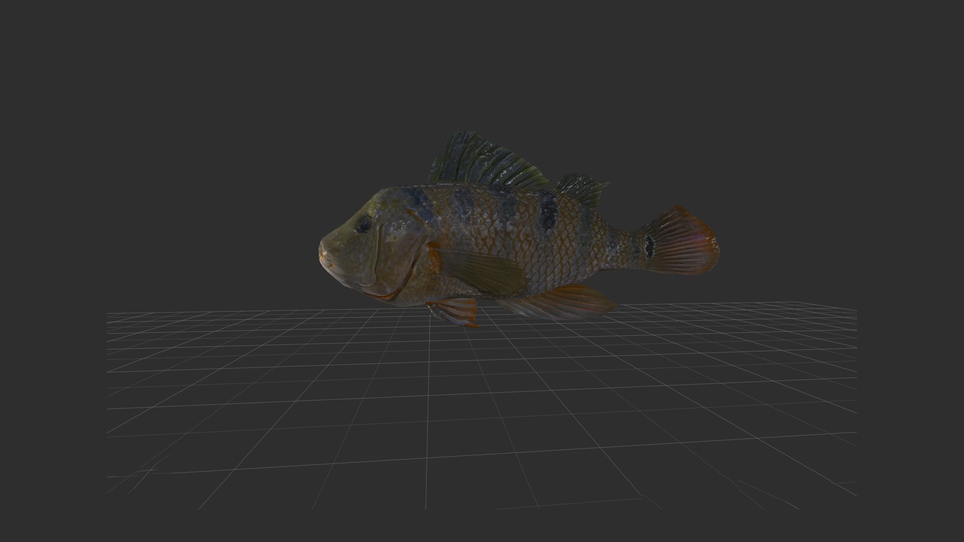 3D Fish Model - TurboSquid 2226380