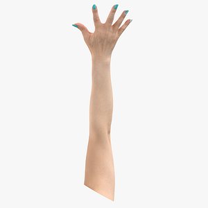 Skeletal Arm glTF Models for Download | TurboSquid
