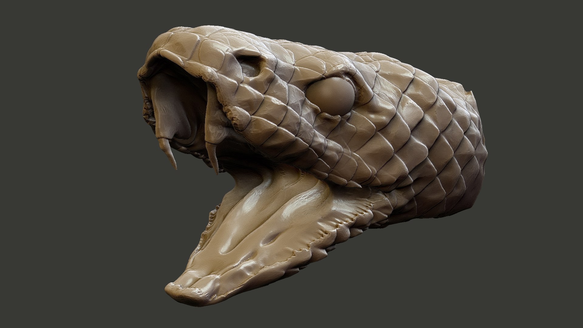 modelo 3d cabeza de serpiente - TurboSquid 1719807