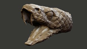 snake head