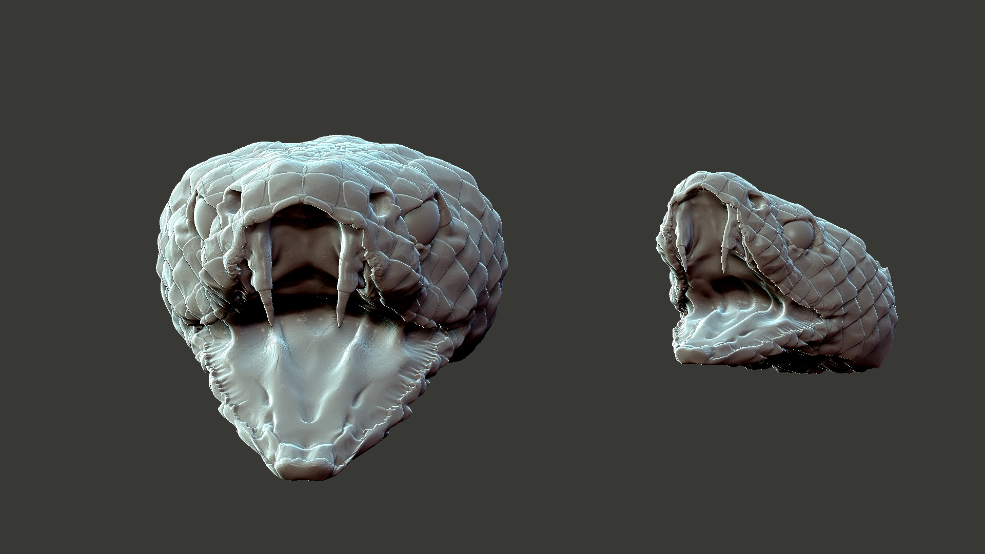 Snake head 3D model - TurboSquid 1719807