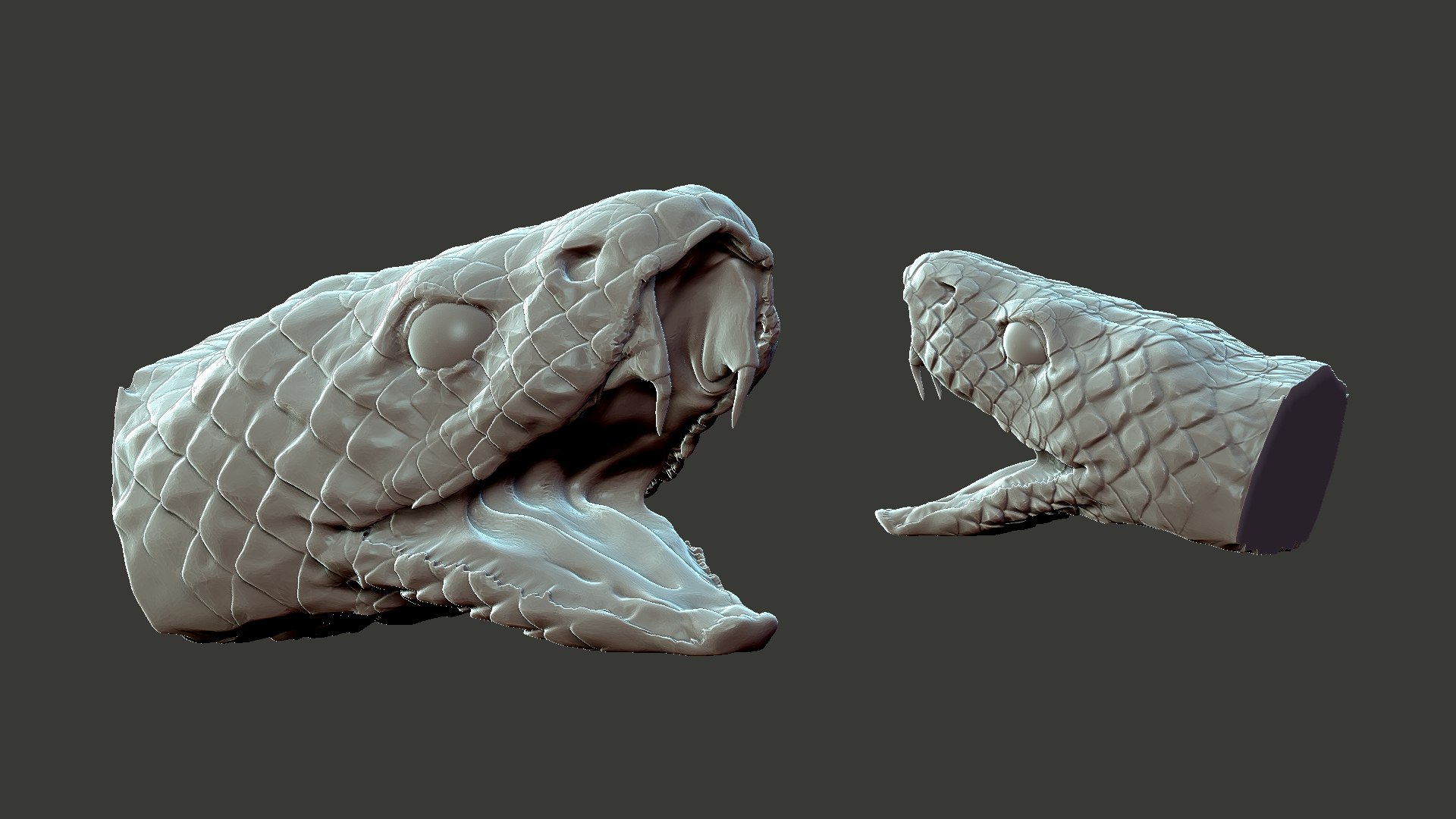 Snake Head 3D Model - TurboSquid 1719807