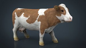 max cow