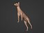 Low Poly Dog  Figurine- Doberman