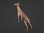 Low Poly Dog  Figurine- Doberman