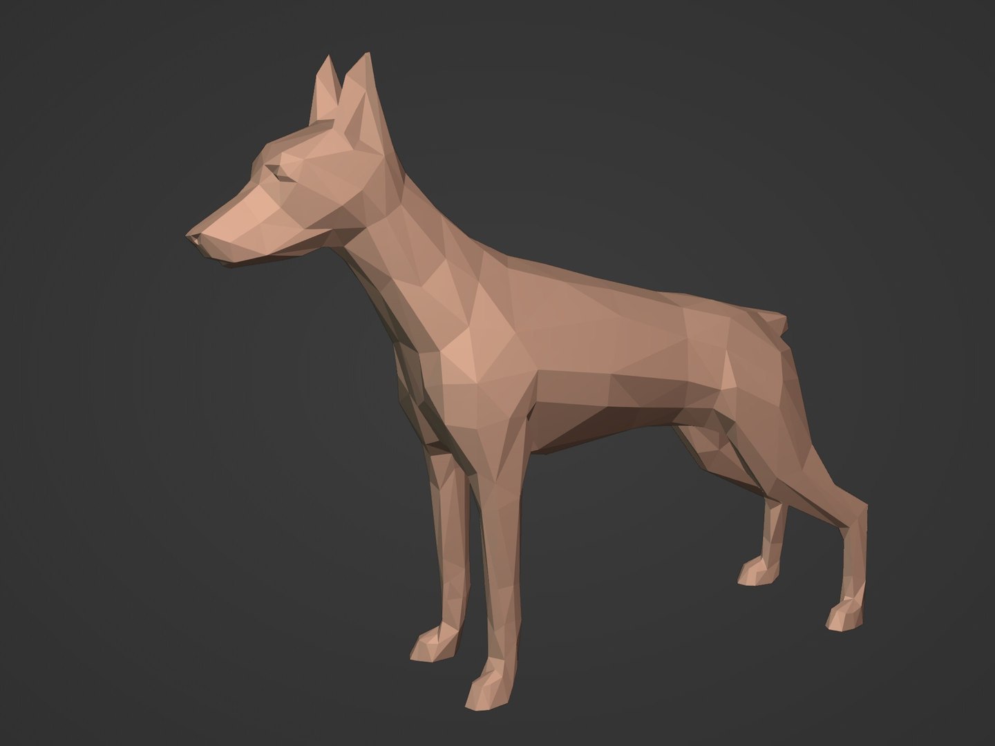 3D model Low Poly Dog - Doberman https://p.turbosquid.com/ts-thumb/Pc/Z6Wgra/Ok/i2/jpg/1674823266/1920x1080/fit_q87/f4a647555447e4c0a18e89d7e9fbc247a8ab2b76/i2.jpg