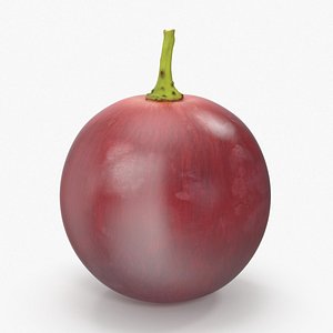 3d red grape model