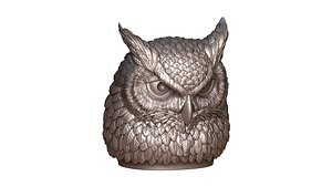 3D Owl head