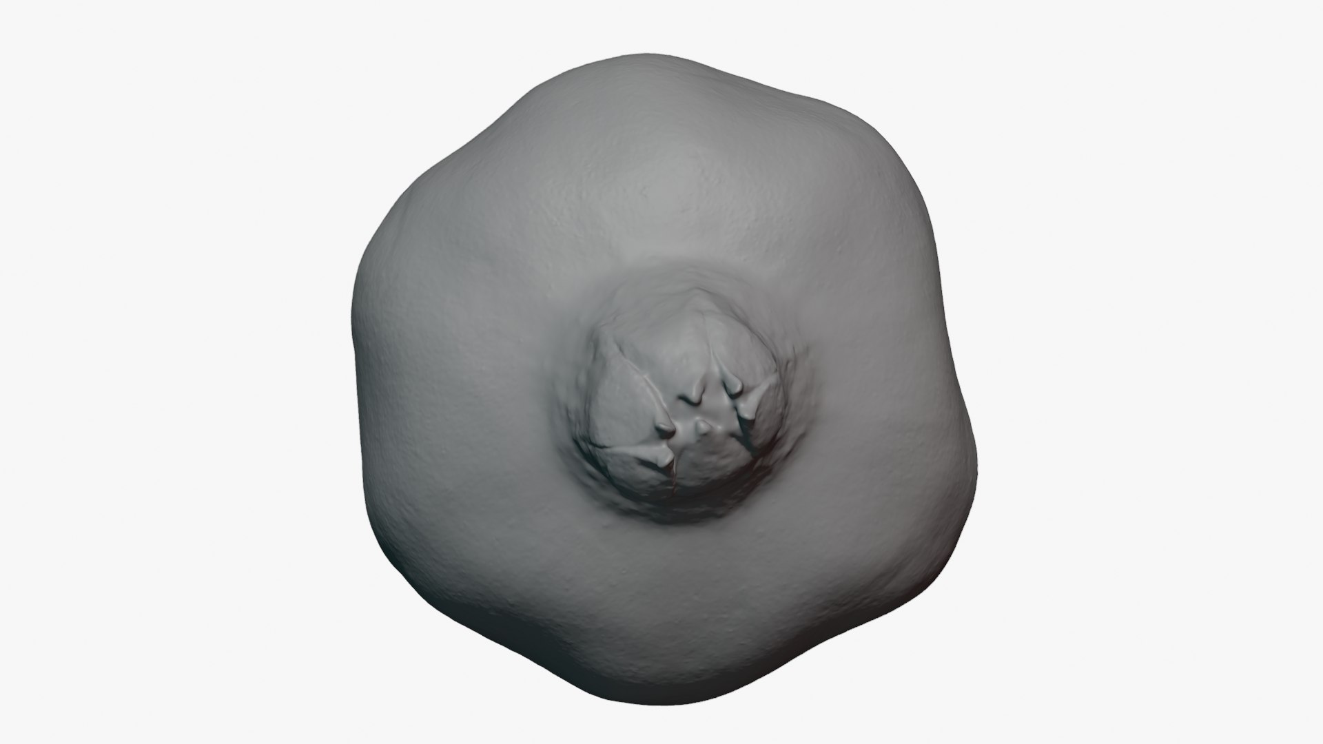 Pomegranate 01 - For 3D Print 3D model https://p.turbosquid.com/ts-thumb/Pc/tdCYh6/4Z/pomegranate01_0003/png/1761924205/1920x1080/fit_q87/a77bd5afe320fd4f6bd845b7cab0548f23c6a052/pomegranate01_0003.jpg