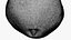 Grenade 01 - Pour impression 3D