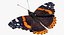 red admiral butterfly fur model