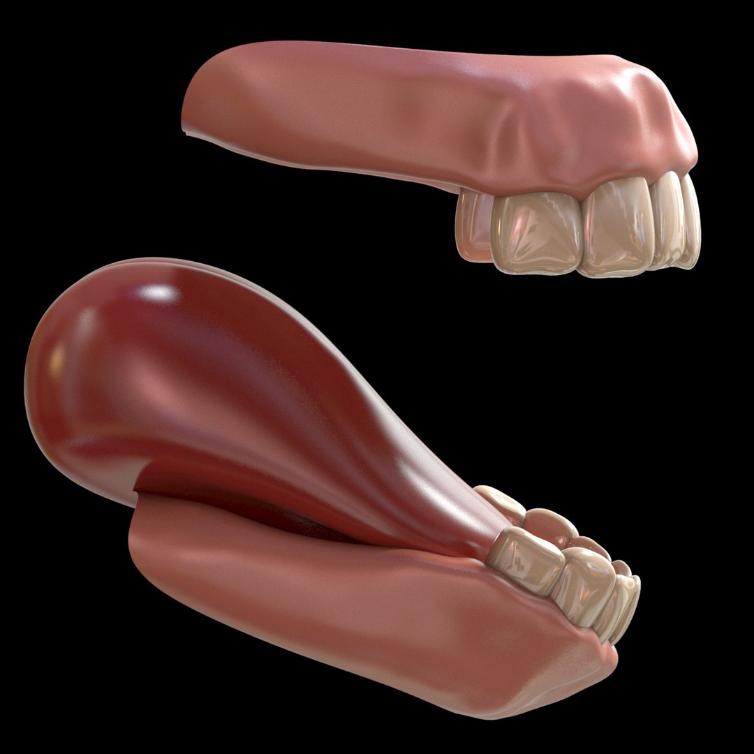 3d model cartoon teeth https://p.turbosquid.com/ts-thumb/Pd/9OIGwj/CrA4xvhB/teeth004/jpg/1464702613/1920x1080/fit_q87/d0bf1c1bb5655364b4cd34f23a0a6c46c8edc183/teeth004.jpg