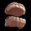 Teeth