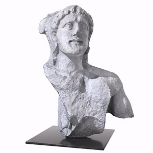 max bust heracles