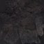 Coal