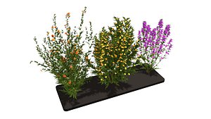 3D Three wild flowers