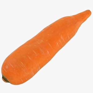 food vegetable carrot 3D model