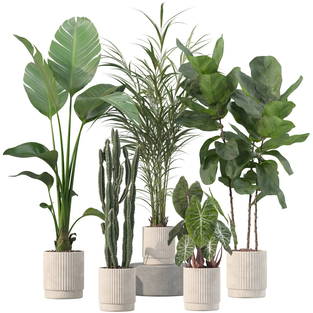 3D Model 20 Photorealistic Flowers For Interiors - Set 201 202 203 204 ...