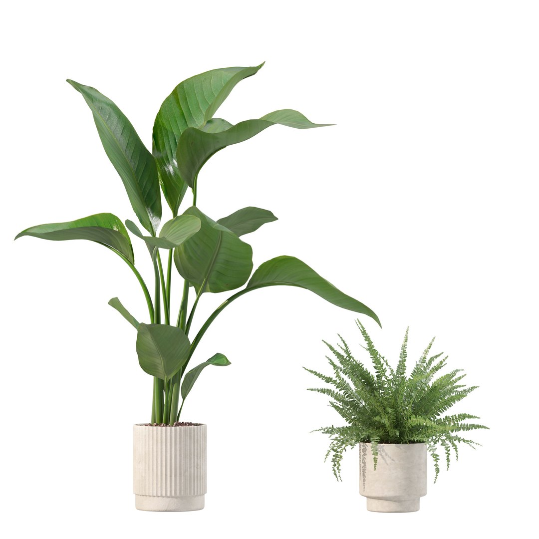 3D Model 20 Photorealistic Flowers For Interiors - Set 201 202 203 204 ...