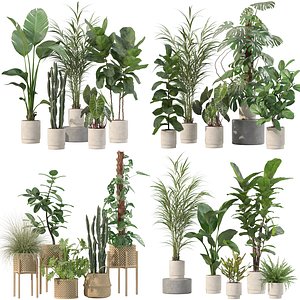 20 Photorealistic Flowers for Interiors - set 201 202 203 204