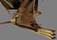 Roman Warship Bireme