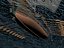 Roman Warship Bireme