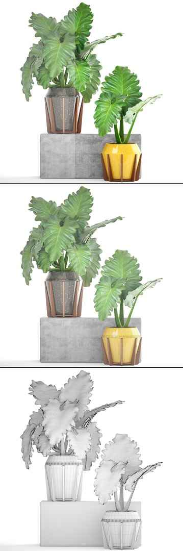 tropical plant shrubs 3D https://p.turbosquid.com/ts-thumb/Pd/jDx6SY/3Yv5dT0m/tropicalplant170110/jpg/1516275136/1920x1080/fit_q87/73d718bbf82ff4bf4cba6a144641b352e8ef1dbd/tropicalplant170110.jpg