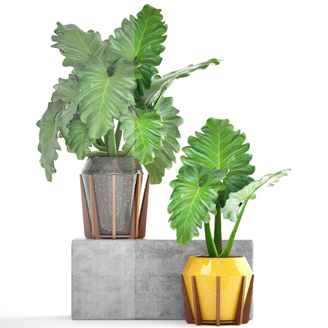 tropical plant shrubs 3D https://p.turbosquid.com/ts-thumb/Pd/jDx6SY/B3FTeMs7/tropicalplant170107/jpg/1516275136/1920x1080/fit_q87/c8e3c9309aba932f091005667e96706b230949f1/tropicalplant170107.jpg