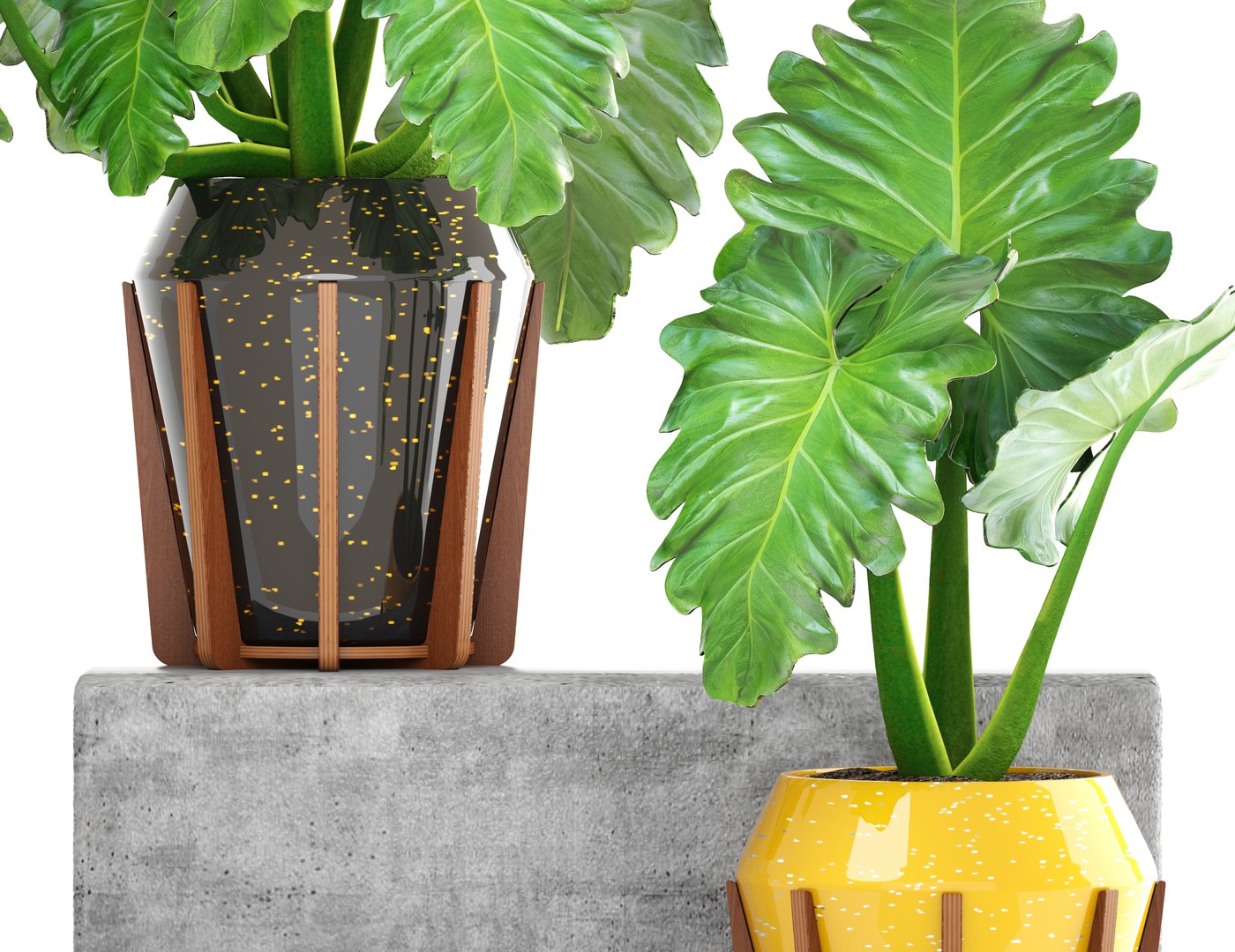 tropical plant shrubs 3D https://p.turbosquid.com/ts-thumb/Pd/jDx6SY/xwRc7sHg/tropicalplant170105/jpg/1516275135/1920x1080/fit_q87/7fc1b39049d3f7c2175500aae20e68b723e03e07/tropicalplant170105.jpg