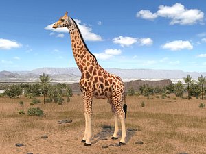 rigged animal 3d model