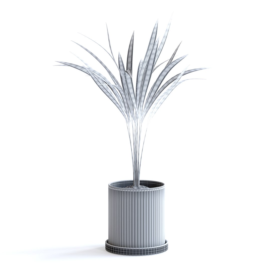 Areca Palm 3D https://p.turbosquid.com/ts-thumb/Pd/pZ4SyX/wG/150cgridcopy/jpg/1645377417/1920x1080/fit_q87/9e8a25bed2df96761d89ea3d3fdcc885a11a4711/150cgridcopy.jpg
