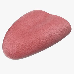 Tongue Medical Model