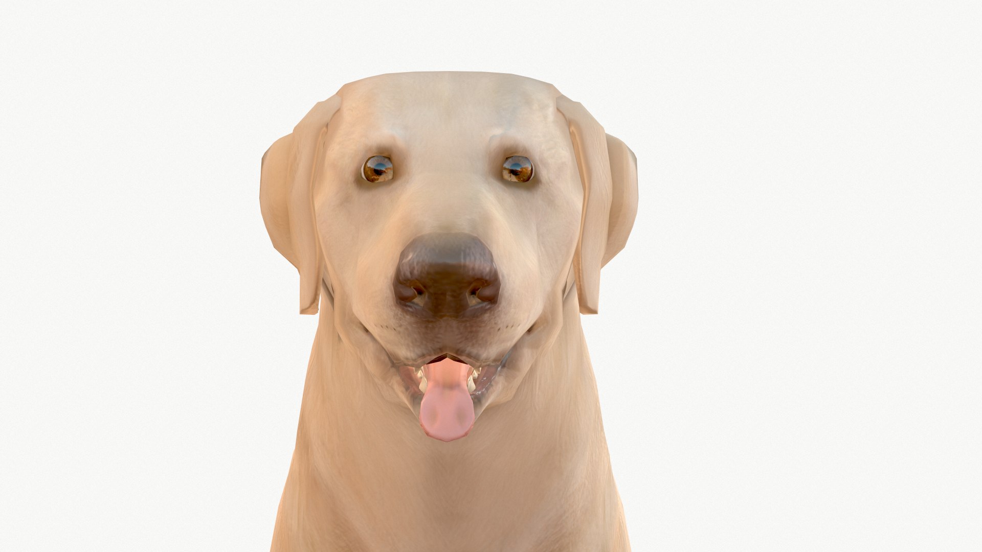 dog labrador 3D model https://p.turbosquid.com/ts-thumb/Pe/8XNdn4/WclDGUy0/screenshot012/png/1602871833/1920x1080/fit_q87/5891bb3a8de71a56d9790d5c32303900ca74f649/screenshot012.jpg