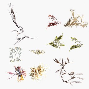 3dsmax sea weeds