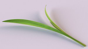 3D pandanus plant food