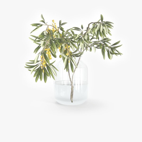 3D Olea Branch In Jar model