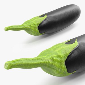 Black European Eggplant 3D model