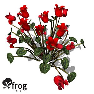 3d model xfrogplants cyclamen plant