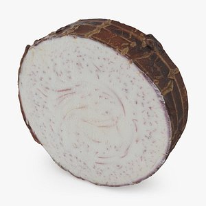3D Taro Slice model