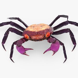 3d vampire crab geosesarma dennerle model