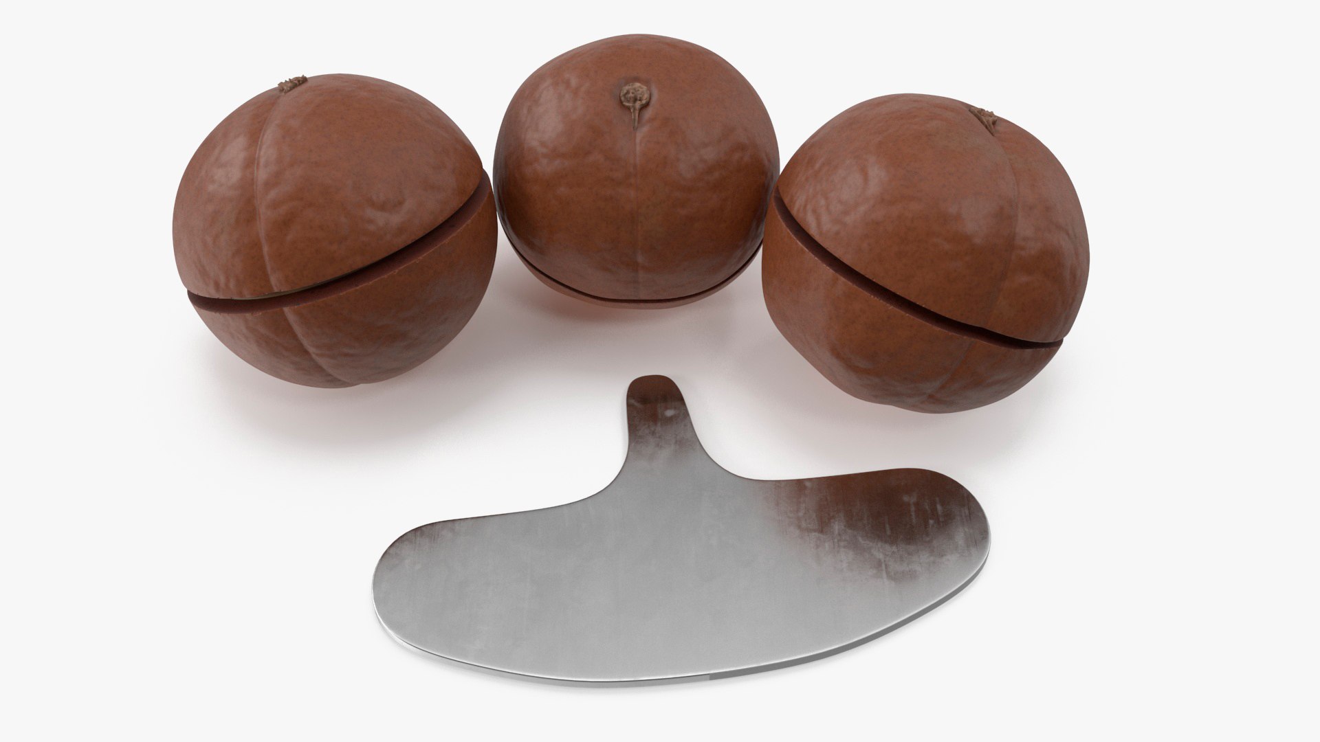Cut Macadamia Nuts with Iron Opener model https://p.turbosquid.com/ts-thumb/Pe/M1zXjq/4U/cutmacadamianutswithironopener3dmodel016/jpg/1705847917/1920x1080/fit_q87/1ebc86e3822acf80dcb3630e38604e2376e0116e/cutmacadamianutswithironopener3dmodel016.jpg