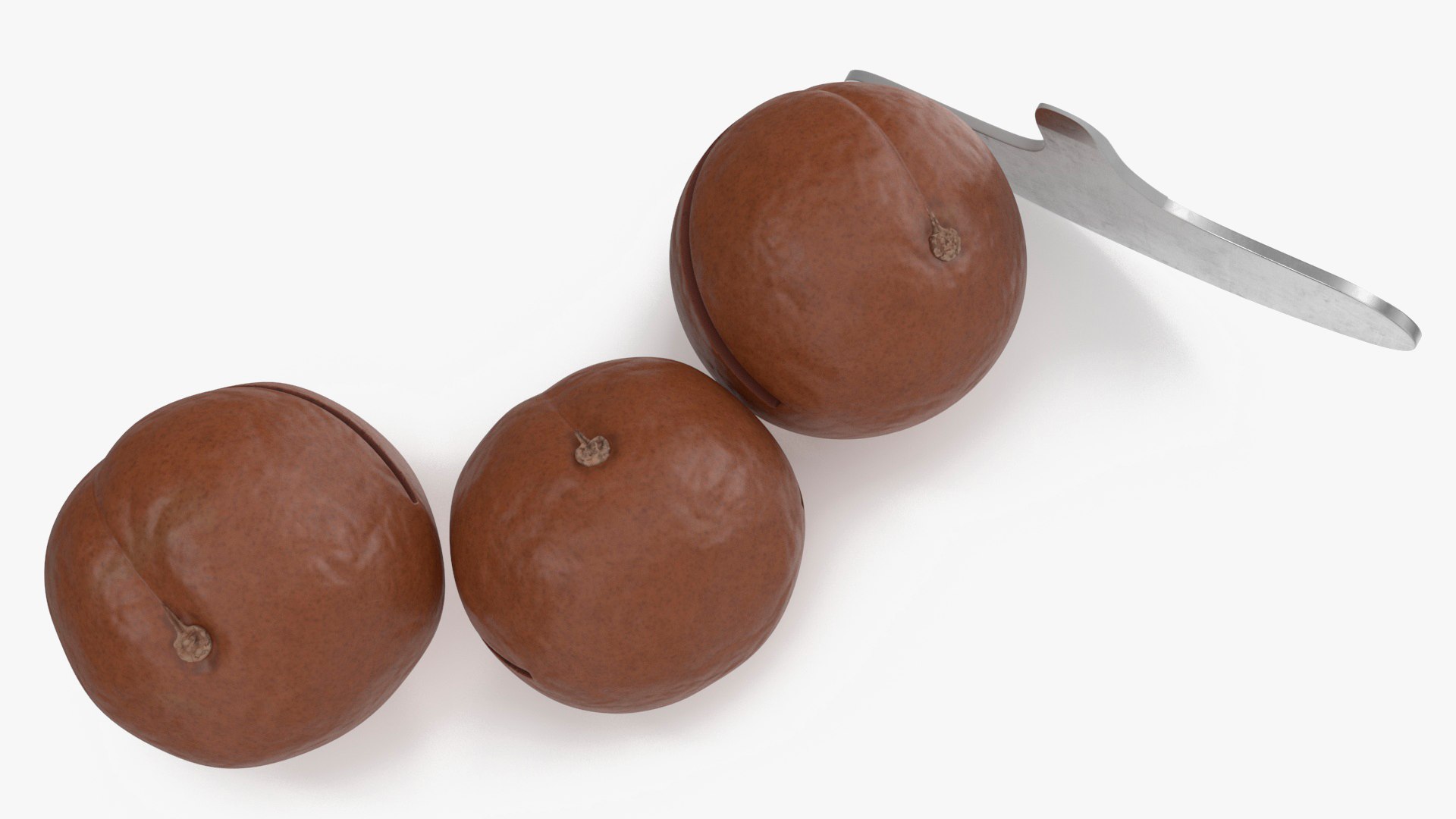 Cut Macadamia Nuts with Iron Opener model https://p.turbosquid.com/ts-thumb/Pe/M1zXjq/7O/cutmacadamianutswithironopener3dmodel013/jpg/1705847905/1920x1080/fit_q87/7da3fbe1663777bfccd8ebc28a56ed377ca1c1eb/cutmacadamianutswithironopener3dmodel013.jpg