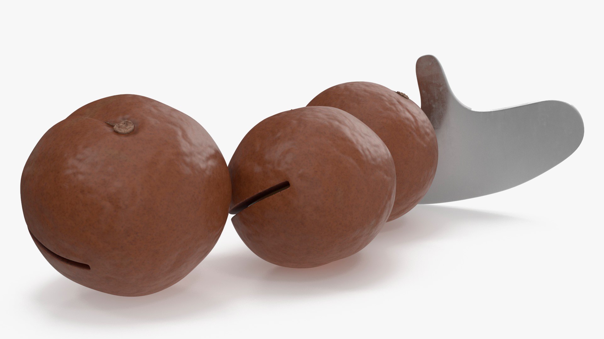 Cut Macadamia Nuts with Iron Opener model https://p.turbosquid.com/ts-thumb/Pe/M1zXjq/Dt/cutmacadamianutswithironopener3dmodel012/jpg/1705847900/1920x1080/fit_q87/3f78c7b364f75e5ef7392eb1d3da0915d0ee59e6/cutmacadamianutswithironopener3dmodel012.jpg