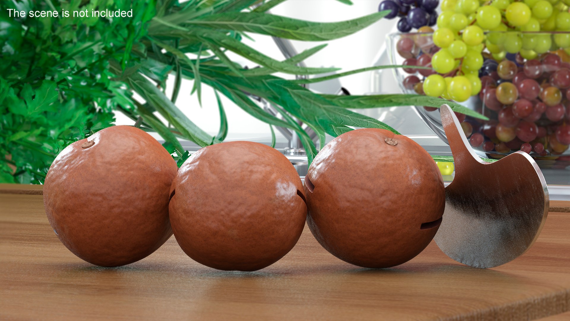 Cut Macadamia Nuts with Iron Opener model https://p.turbosquid.com/ts-thumb/Pe/M1zXjq/Gy/cutmacadamianutswithironopener3dmodel004/jpg/1705847873/1920x1080/fit_q87/83a4431deca032eadfae164ad35ef7f2ee51bfe8/cutmacadamianutswithironopener3dmodel004.jpg