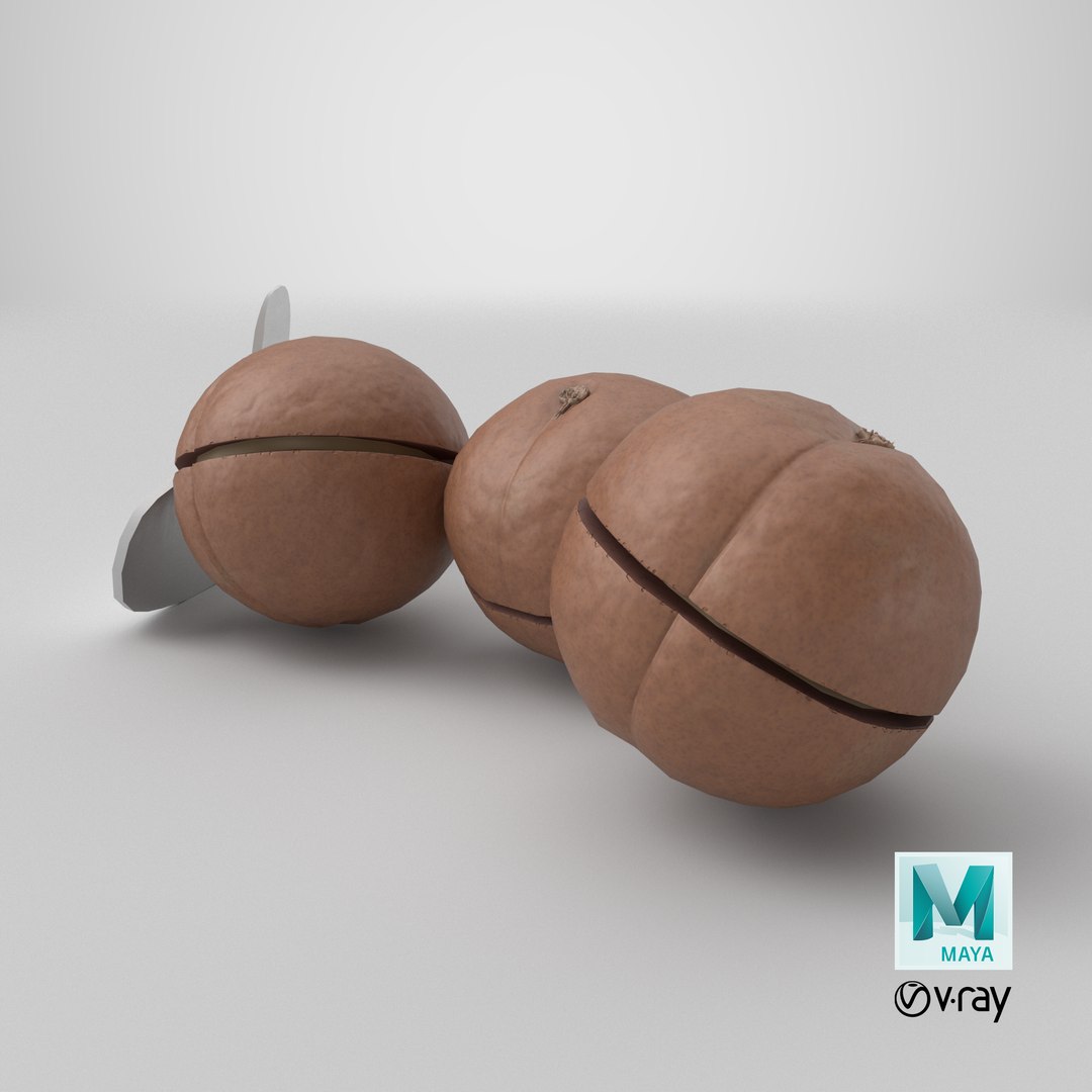 Cut Macadamia Nuts with Iron Opener model https://p.turbosquid.com/ts-thumb/Pe/M1zXjq/LW/stemcell_maya_vray_render/png/1710222575/1920x1080/fit_q87/113fe3e1783a43f40c5fd65a55e7b802b21f5c95/stemcell_maya_vray_render.jpg