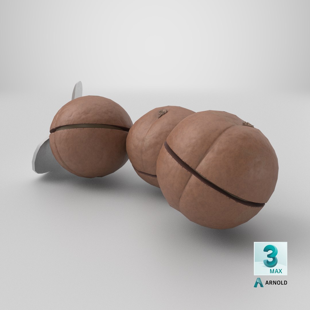 Cut Macadamia Nuts with Iron Opener model https://p.turbosquid.com/ts-thumb/Pe/M1zXjq/P2/stemcell_max_arnold_render/png/1710222583/1920x1080/fit_q87/bd5398976e54642b959572baba27c29caf76cb5d/stemcell_max_arnold_render.jpg