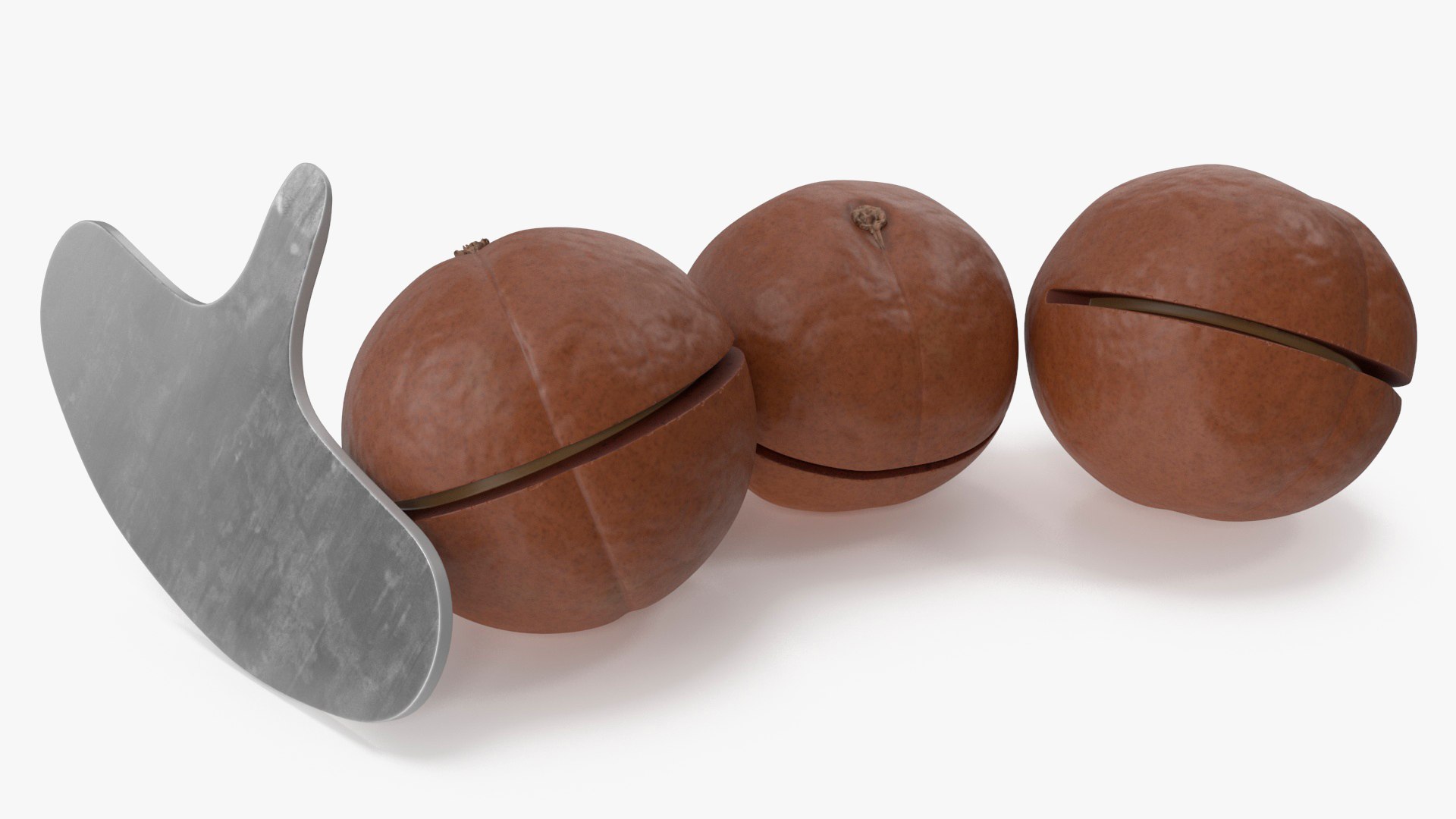 Cut Macadamia Nuts with Iron Opener 3D model preview