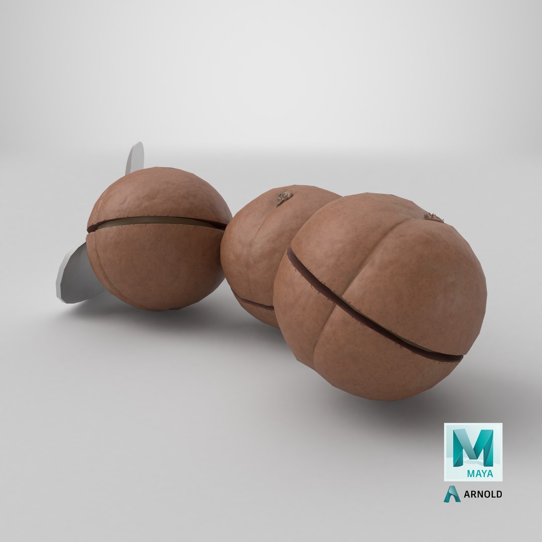 Cut Macadamia Nuts with Iron Opener model https://p.turbosquid.com/ts-thumb/Pe/M1zXjq/VM/stemcell_maya_arnold_render/png/1710222573/1920x1080/fit_q87/8b5d2c033398fd978f8e75573d10462f9acdae51/stemcell_maya_arnold_render.jpg