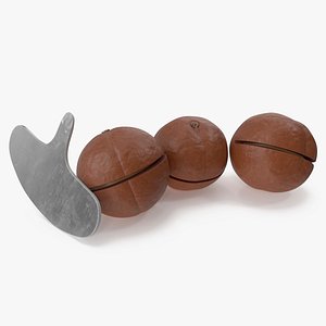 Cut Macadamia Nuts with Iron Opener model